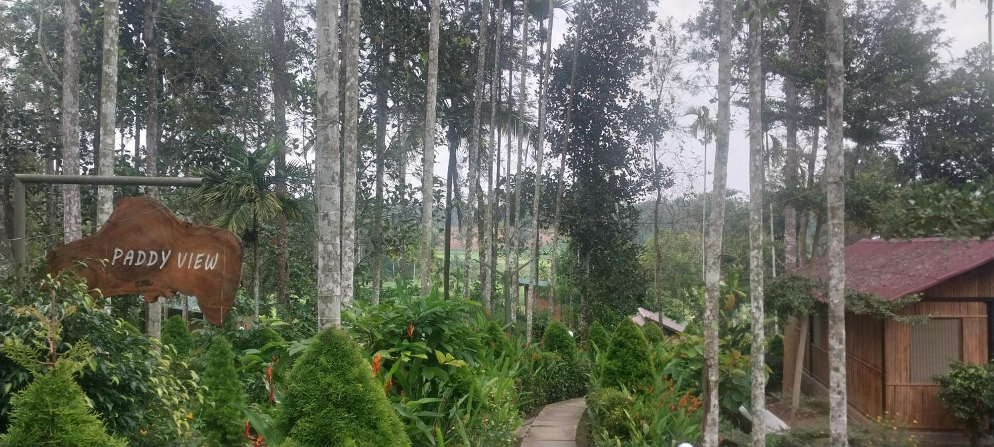 Paddy View Resort Wayanad Sultan Bathery Exterior photo