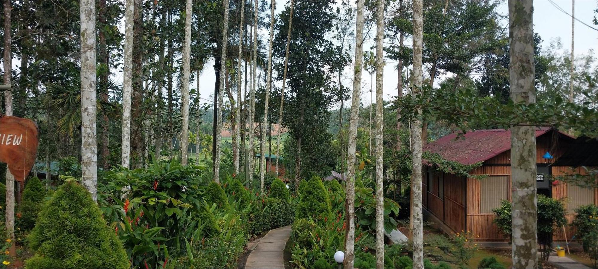 Paddy View Resort Wayanad Sultan Bathery Exterior photo