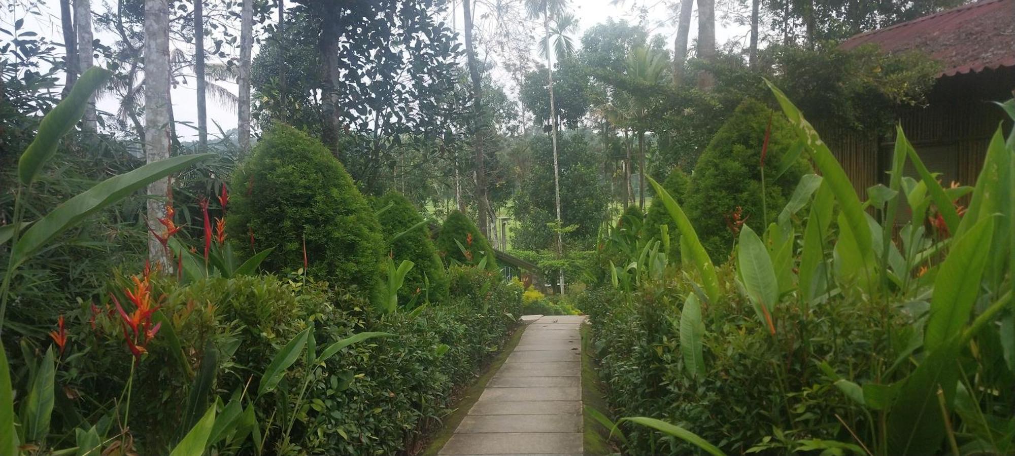 Paddy View Resort Wayanad Sultan Bathery Exterior photo
