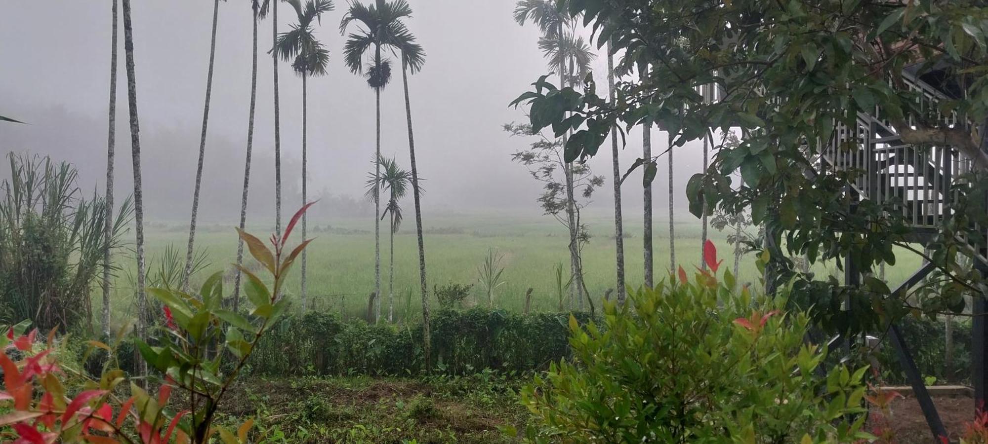 Paddy View Resort Wayanad Sultan Bathery Exterior photo