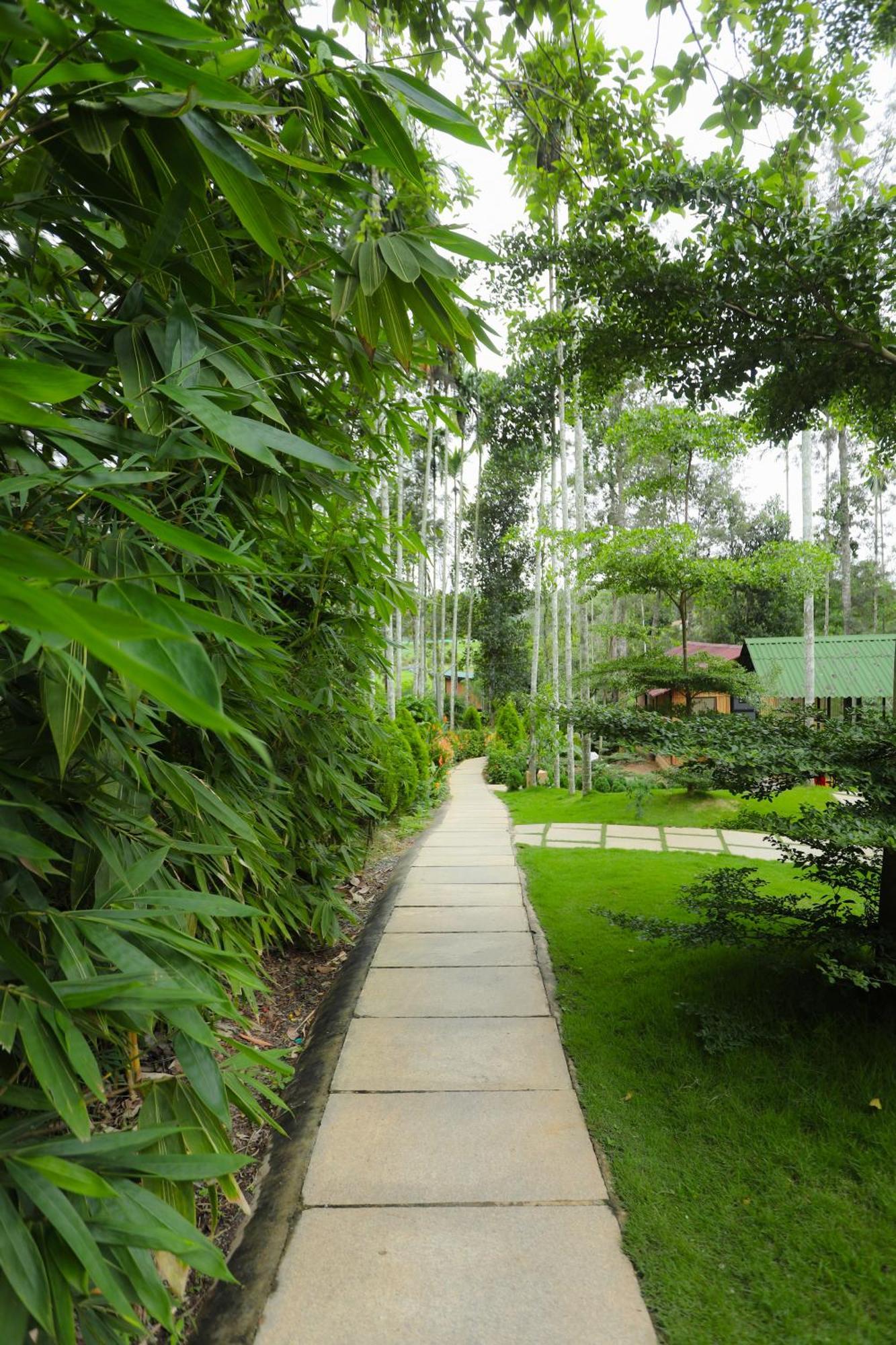 Paddy View Resort Wayanad Sultan Bathery Exterior photo